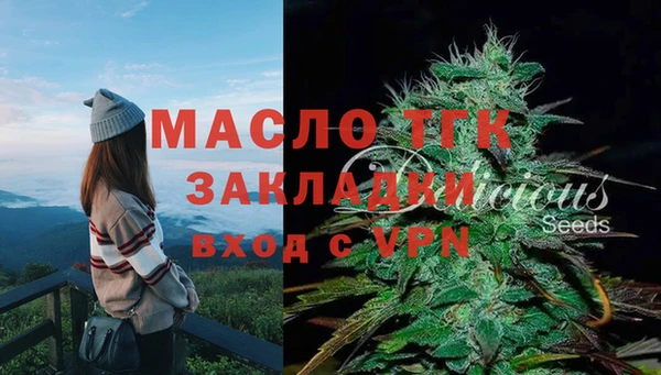 гидропоника Алзамай