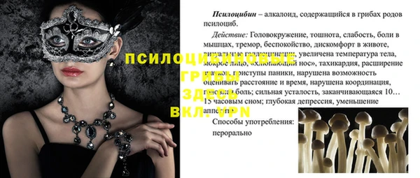 гидропоника Алзамай
