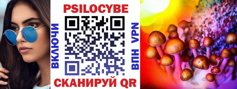 Псилоцибиновые грибы MAGIC MUSHROOMS  Судогда 